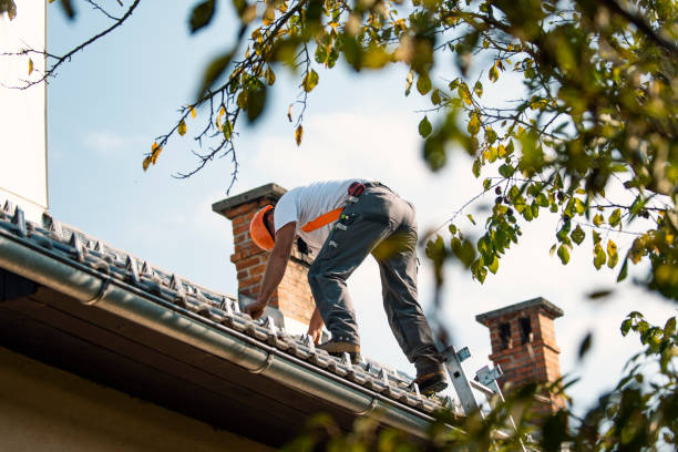 Best Gutter Installation and Roofing  in Bigfoot, TX