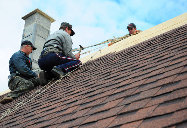 Best Roof Waterproofing Services  in Bigfoot, TX